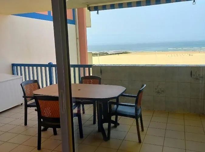 Les Goelands De L'Ocean
