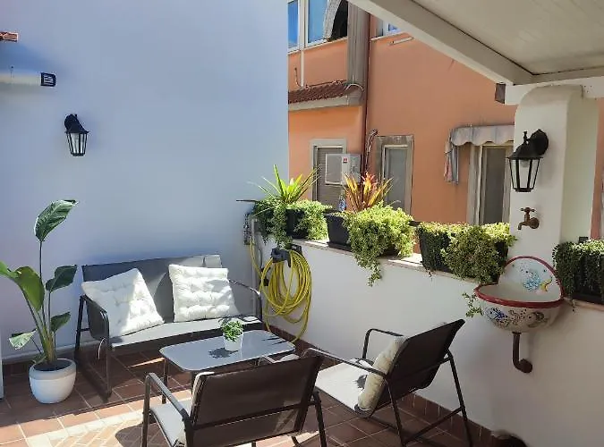 L'Oliva Contesa - La Blu