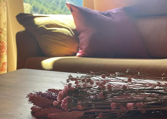 Hotel que admite mascotas: El mirador de María