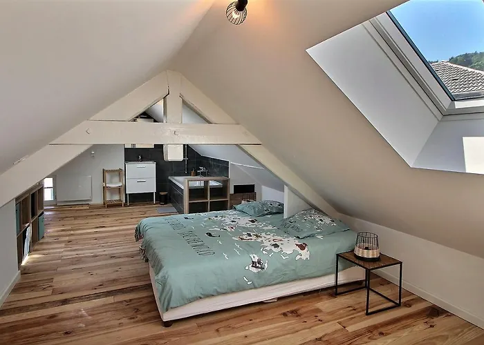 Apt Type 3 En Duplex Sur Evian Les Bains Vue Lac