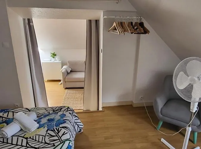 Appartement Style Loft En Centre Ville