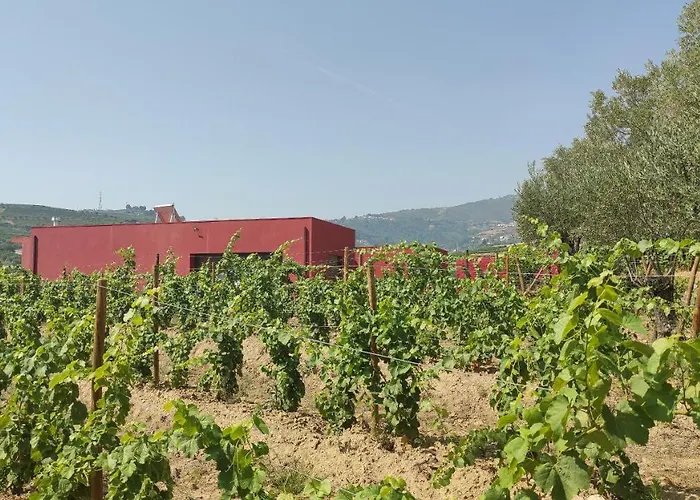 Quinta Dos Padrinhos - Suites In The Heart Of The Douro
