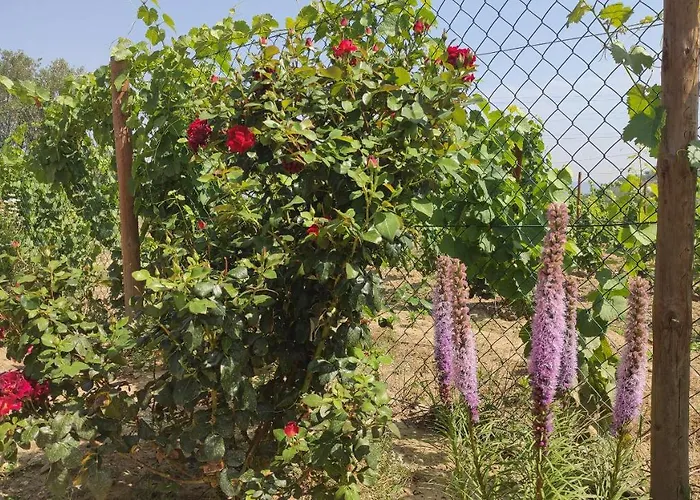 Quinta Dos Padrinhos - Suites In The Heart Of The Douro