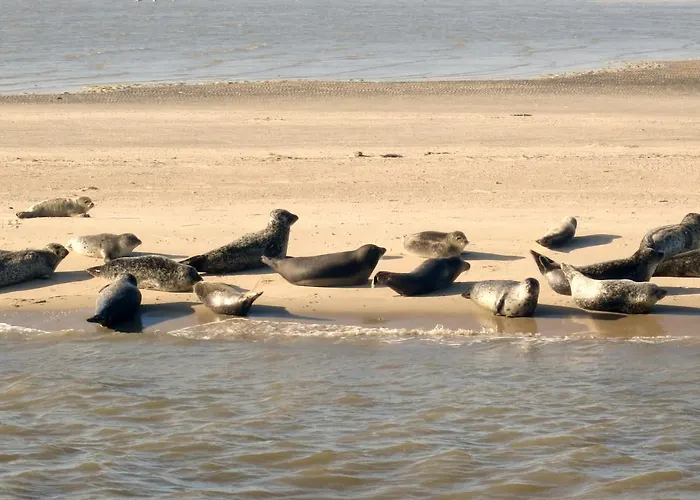 Huus Wattenmeer In Nessmersiel An Der Nordsee