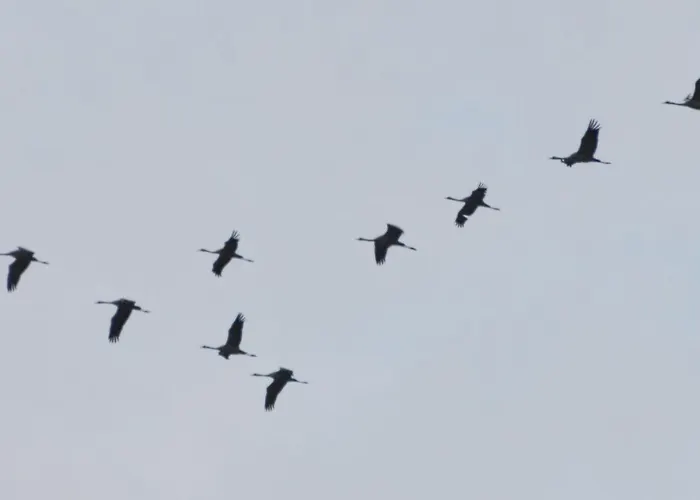 Fewo-Kramm Ostseebad Dierhagen