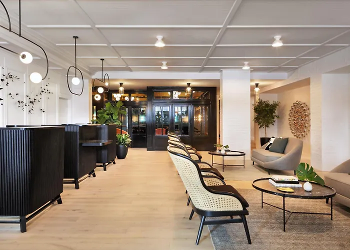 Pet Friendly hotel: Kimpton Hotel Fontenot By Ihg