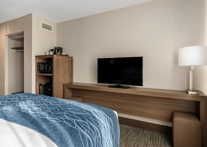 Comfort Inn & Suites Downtown Brickell-Port Of Miami