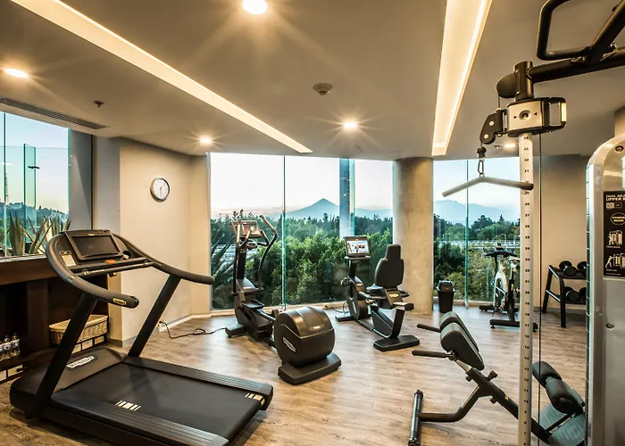 Hotel que admite mascotas: Four Points By Sheraton Puebla