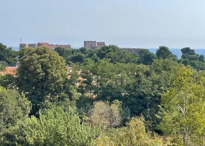 Collioure, Bel Appartement De 40M2 Avec Balcon Et Parking