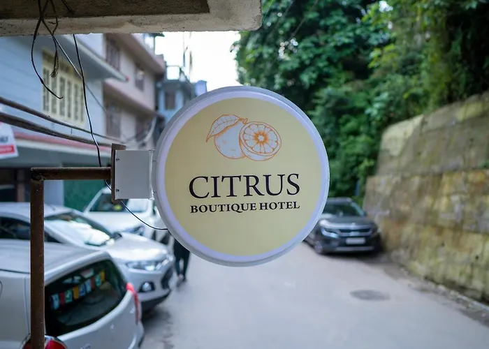 Kid friendly hotel Citrus Boutique