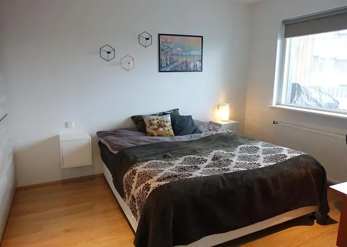 Beautiful Flat In Downtown Reykjavik With A View