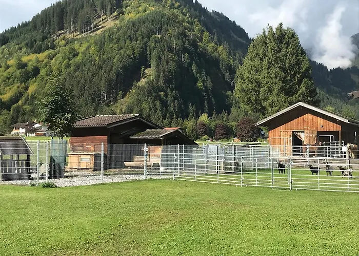 Pony-Ziegen-Hasen-Ranch Bichlbach