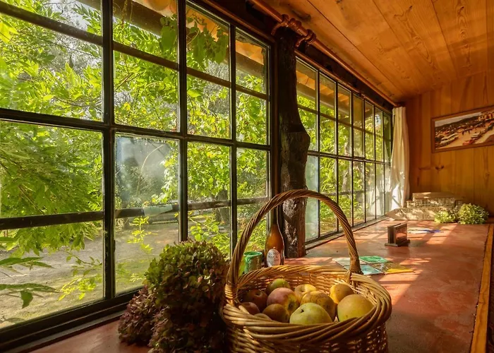 Cabine: Chalé da Quinta Lavoura da Bouça - Fruta Bio