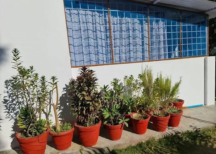 Green Diamond Homestay