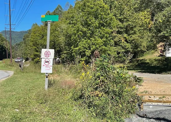 Pet-Friendly Leicester/Asheville Mtn View Escape