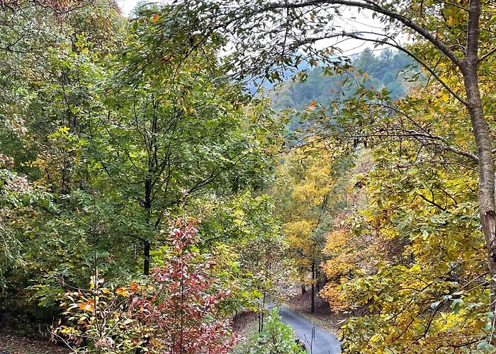 Pet-Friendly Leicester/Asheville Mtn View Escape