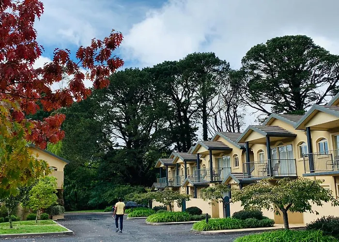 Falls Mountain Retreat Blue Mountains