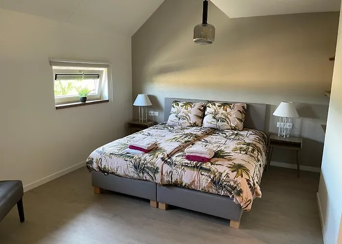 Appartement 5