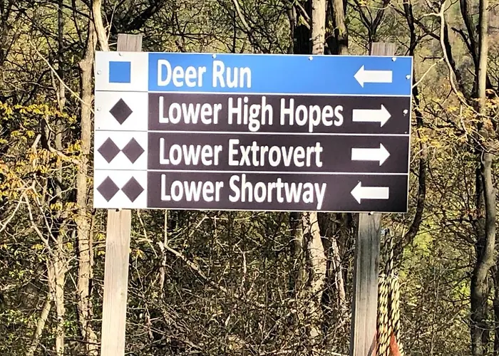 Blue Knob Bear Den