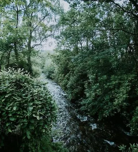 River Side Cabin With Hot Tub Snowdonia