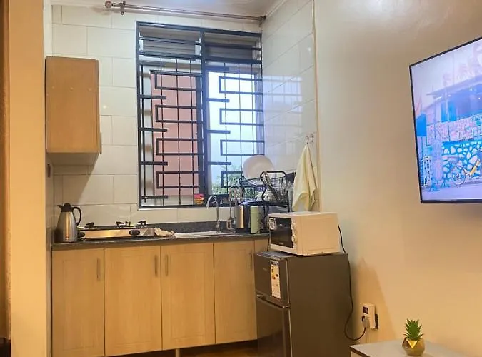 Bibi Homes