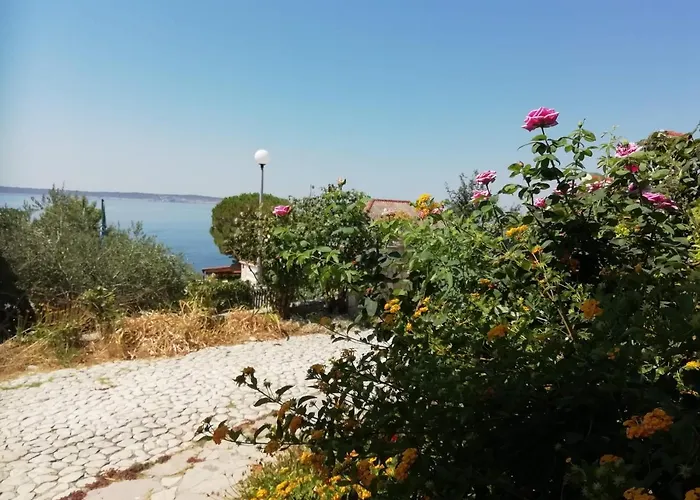 Apartman Zlata