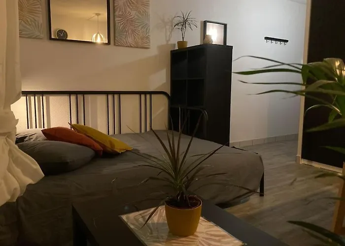 Studio Cozy'Nest