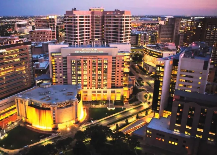 Home Felt Apartment- Med Center/Nrg