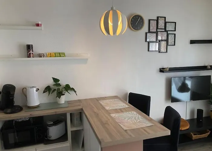 Studio Cozy'Nest