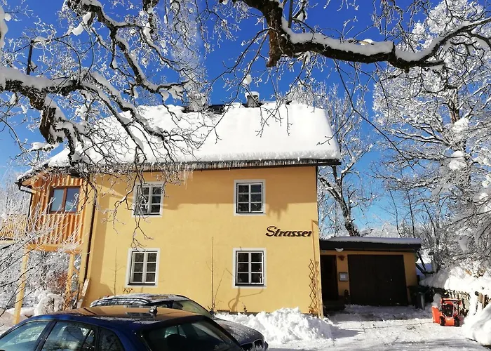 Strasser'S Mountain Home