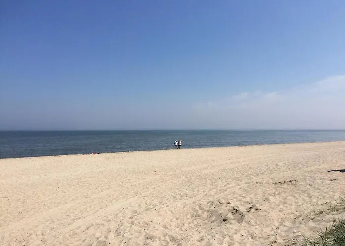 Friesenmoewe