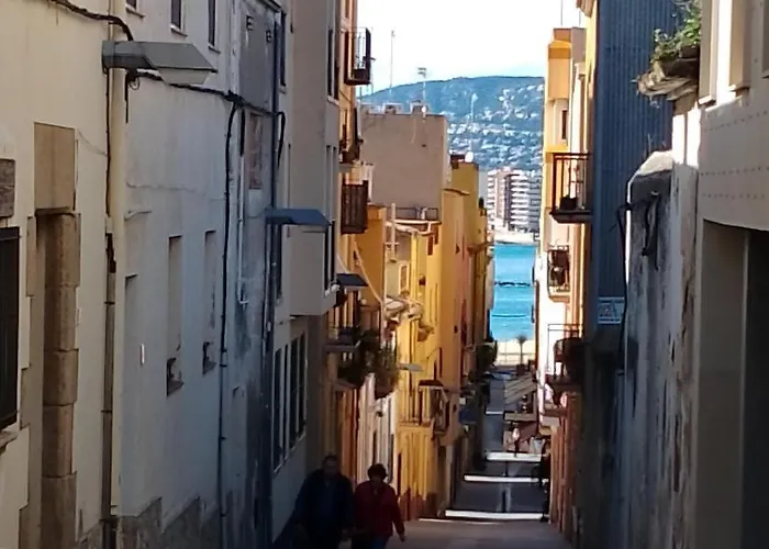 Pis Practic I Agradable Sobre La Marina Palamos