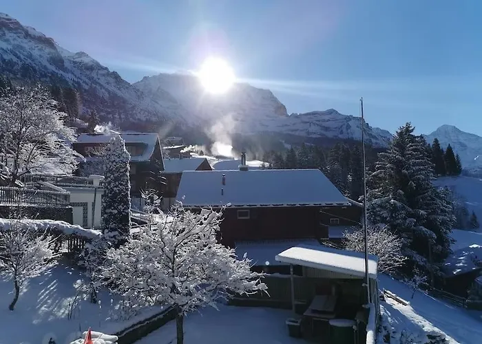 Apartment Chalet Im Sunnigen Usblick
