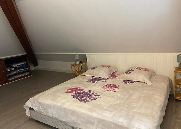 Appartement Entier En Residence Centre Ville