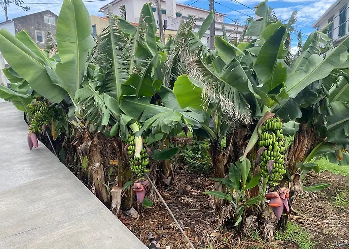 Retiro Das Bananeiras