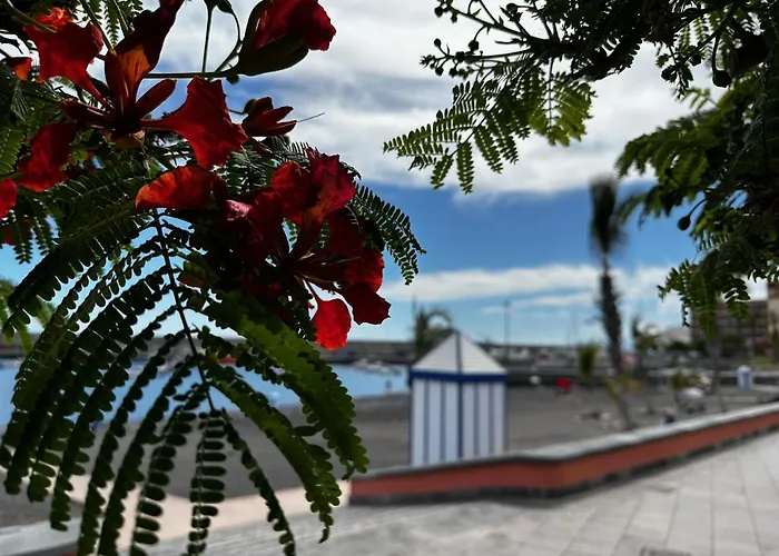Magnificent And New Apartment In Playa San Juan