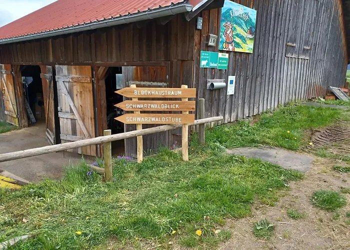 Schwarzwaldblick