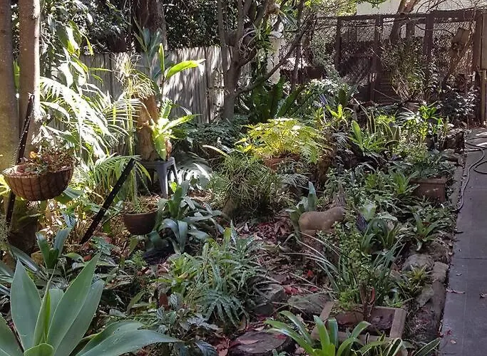 Dolphin Cottage Garden Studio