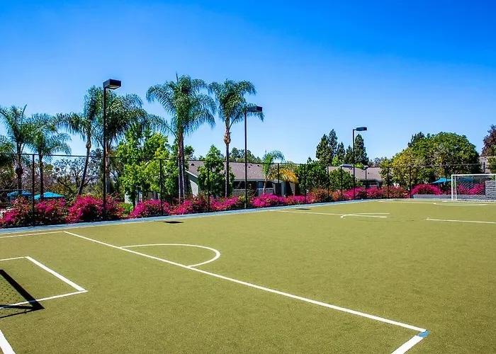 Huge Oceanside Private 2Br Apartment-Pool-Gym-Spa