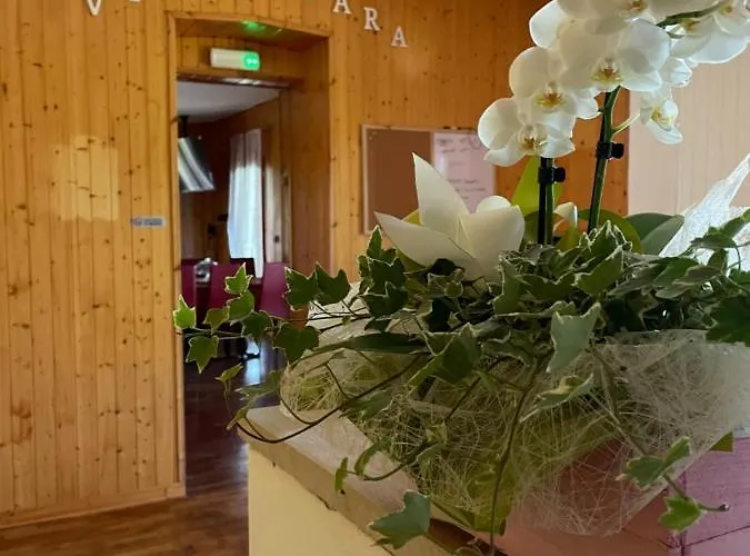 Hotel familiare: Villa Hoara