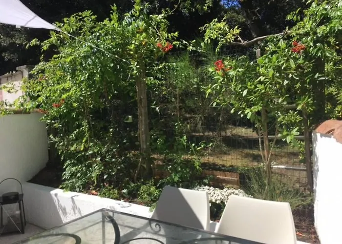 Appartement-Terrasse 300M Plage St Palais Sur Mer