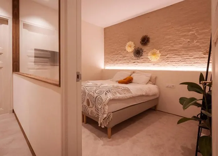 Appartement Met Tuin In Haarlem Centrum