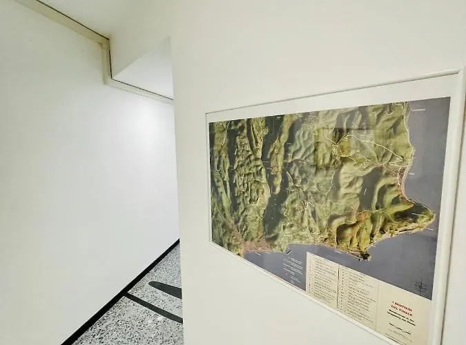 Il Gabbiano
