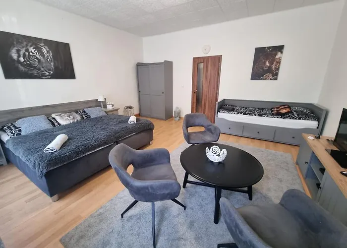 Černý Tulipán - Apartmán 1