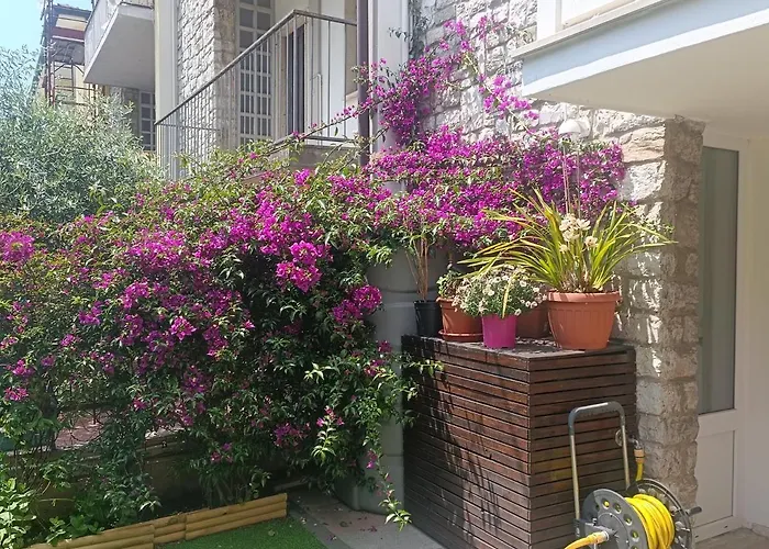 Il Don Minzoni 98 "Casa Vacanze"