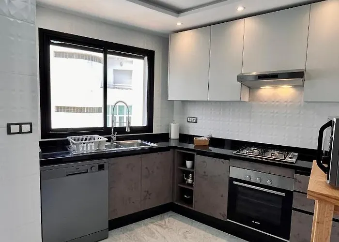 Appartement Moderne Au Decor Raffine