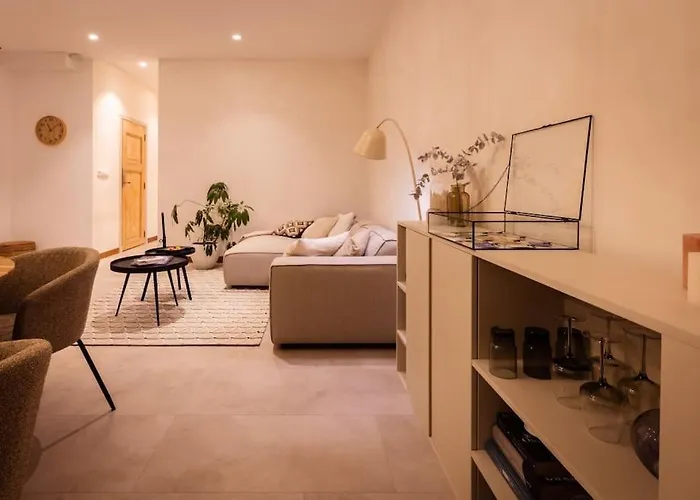 Appartement Met Tuin In Haarlem Centrum