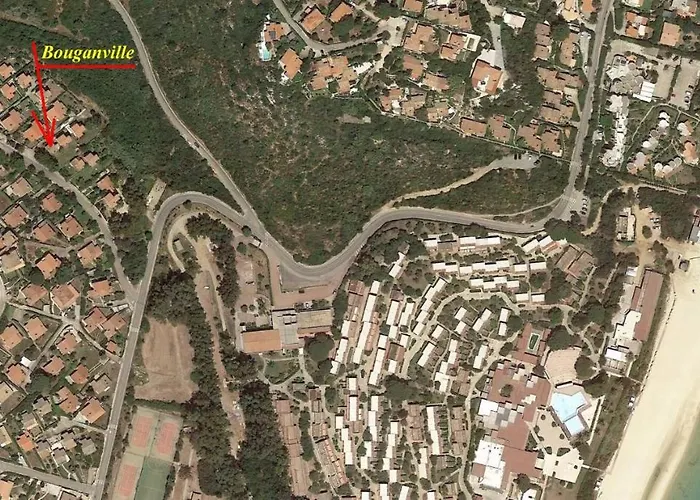 Bouganville