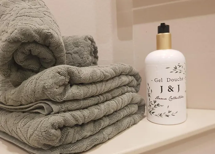 Le J&J Appartement Spacieux Climatise En Centre Ville