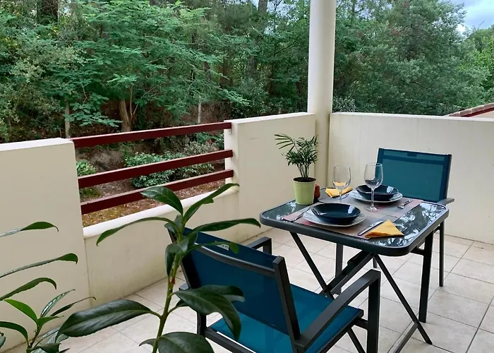 Studio A Cote Du Lac Avec Terrasse